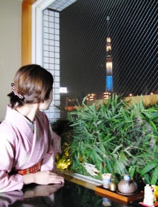 1階VIPルームからのスカイツリー